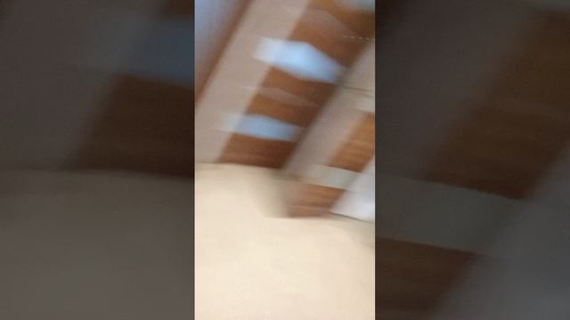 04-07-2025 смотреть онлайн