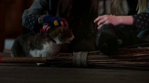 Сериал: Самая плохая ведьма (2017) 2 серия, 1 сезон.