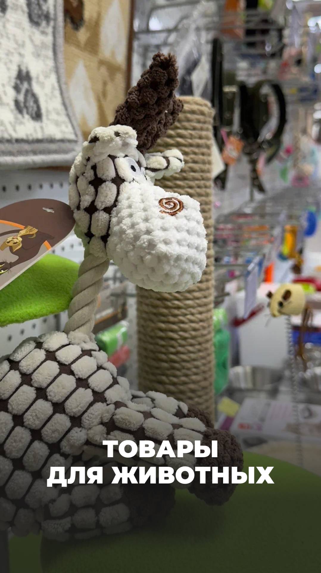 Зоотовары — всё для комфорта и ухода за питомцем в одном месте.