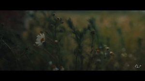 Клава Кока, ANDRO - Просто так (official video, 2025)