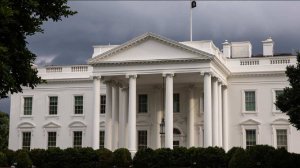 Трамп анонсировал бой UFC в Белом доме в 2026 году