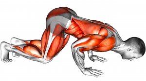 5 отжиманий: идеальная силовая тренировка