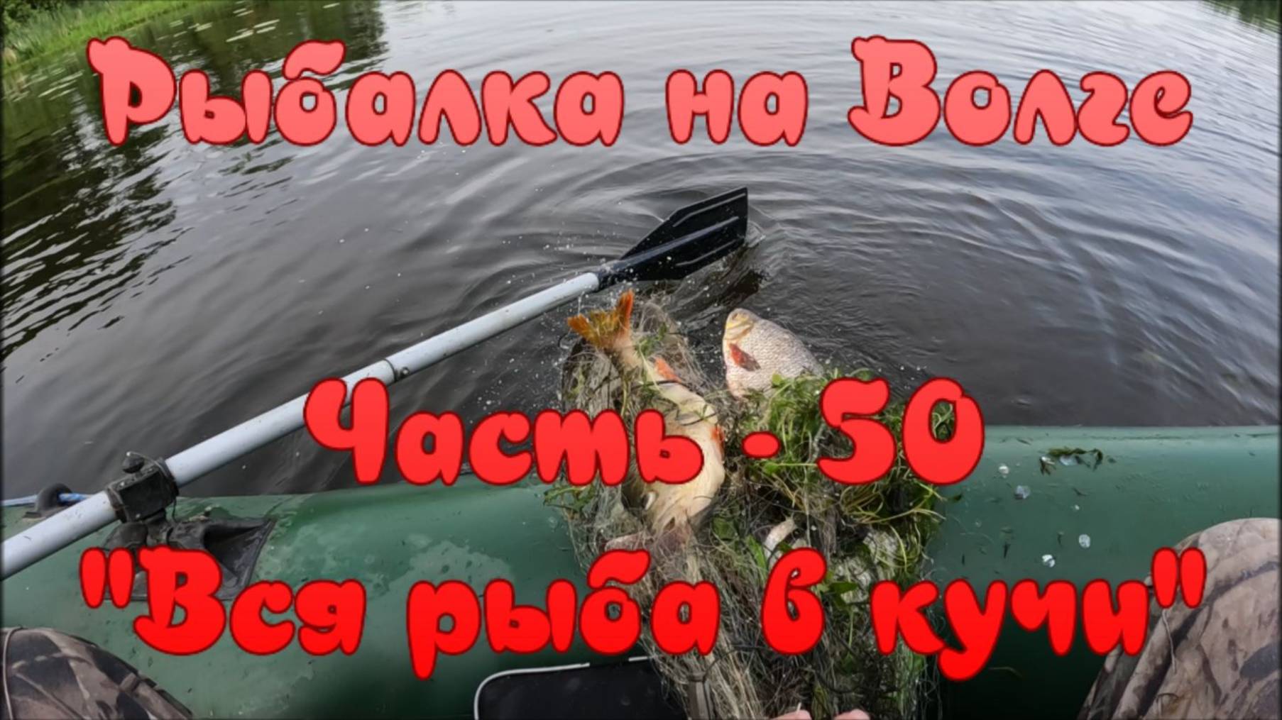 Рыбалка на Волге. Часть - 50. "Вся рыба в кучи". смотреть онлайн