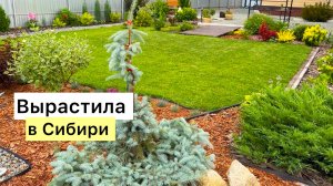 Прогулка по молодому саду! Уже есть на что посмотреть! И жесть в конце…