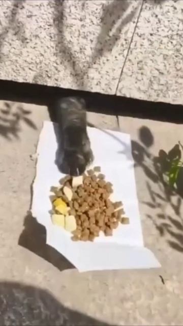 Оплата прошла смотреть онлайн