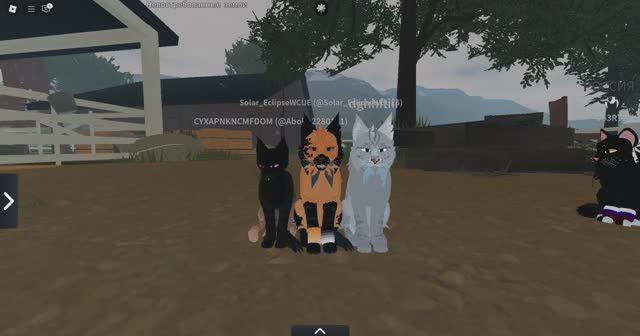 Коллаб с Знамением! Повторяем зоо в WCUE! Коты-Воители Roblox.