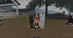 Коллаб с Знамением! Повторяем зоо в WCUE! Коты-Воители roblox.