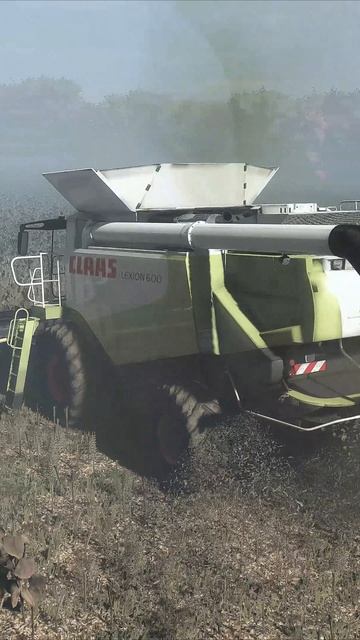 Farming Simulator 25 / Уборка подсолнухов ClaasLexion 600, Lexion 480, IFA L60, John Deere 7930 смотреть онлайн
