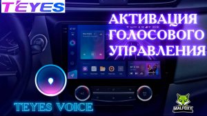 АКТИВАЦИЯ ГОЛОСОВОГО УПРАВЛЕНИЯ TEYES VOICE (CC3 TPRO2 LUXE ONE CC3L CC2)