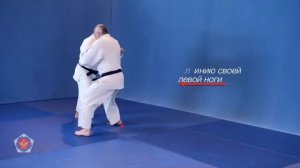 (Ко сото гари) Ko soto gari - ключевые точки