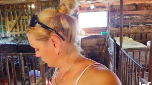 Моя деревня на Алтае,деревенский влог,снимать не хочется😐