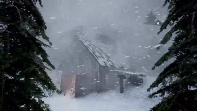 Невероятно сильная метель для сна, 5 часов снежной бури. Звуки ветра для сна на черном экране смотреть онлайн