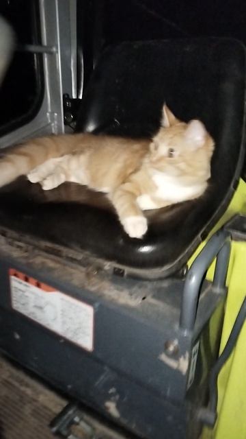 Услуги эксковаторщицы, не дорого