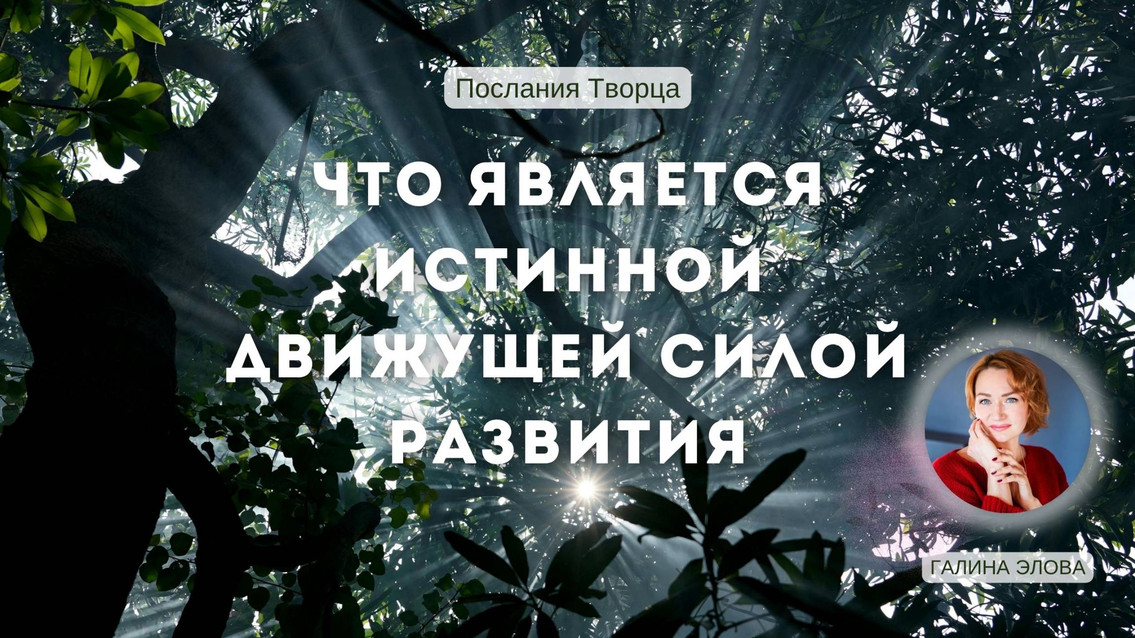 Послания Творца