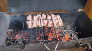 Жарим шашлык, встречаем дочь.