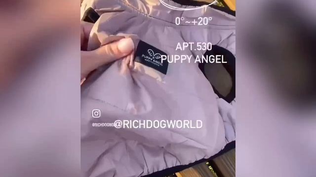 Безрукавки AIR1 от Puppy Angel в RICHPETWORLD.RU