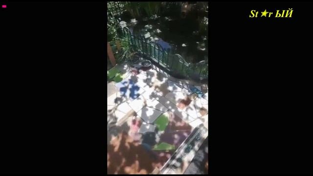 ⤵️ St✭r ЫЙ крымчанин спасает бабочку. Уникальная спасательная операция