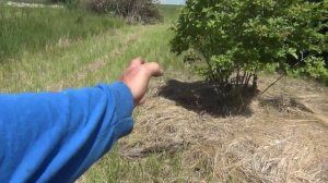 Когда есть выбор чем заняться и мне и моим девчонкам.