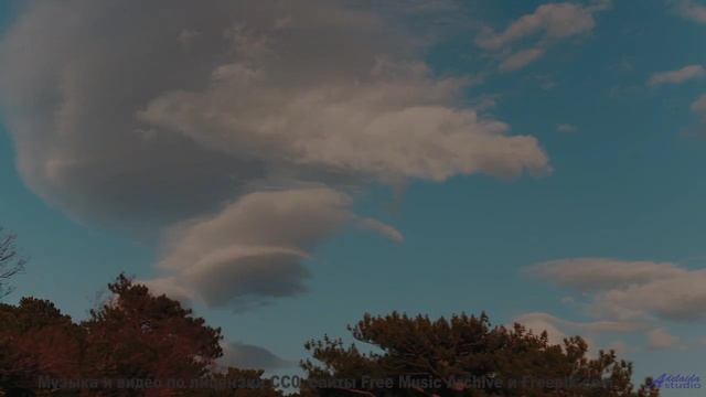 Поля расцветают, когда звучит такая сильная музыка - Grumpy Cat -- Holizna4KidsMusic -- Grumpy Cat