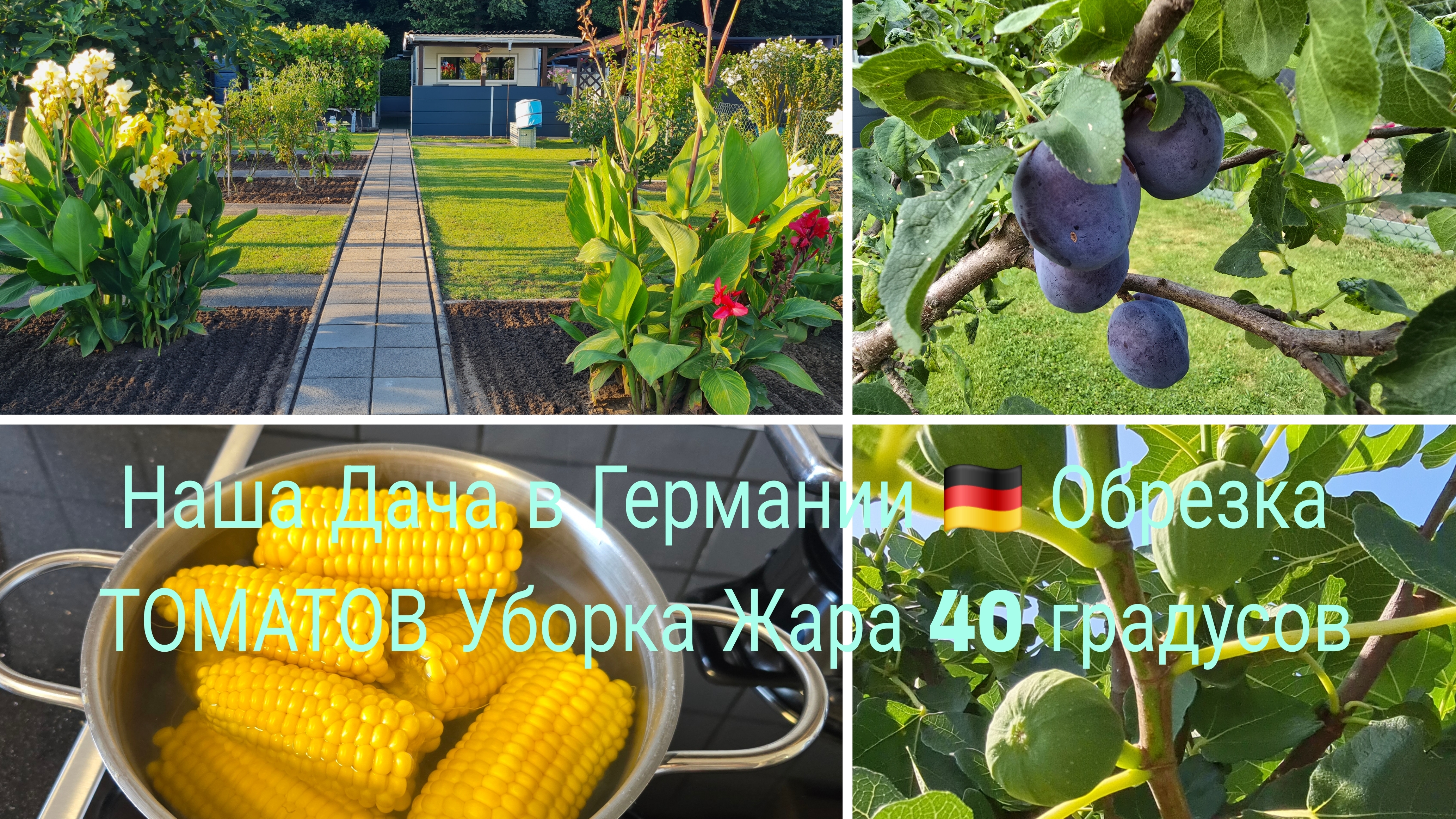 Жизнь в Германии 🇩🇪/Люди Нехотят Работа 🙉/Как Правильно Варить Кукурузу Дачные Хлопаты 🏕 смотреть онлайн