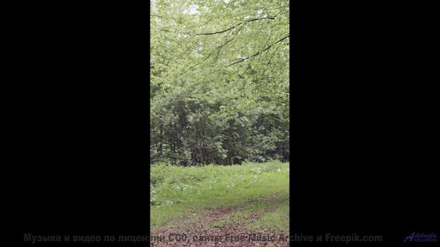 Эта песня звучит так, будто её написал сам ветер в горах! - 11 Arising -- Ketsa -- Free And Beautifu