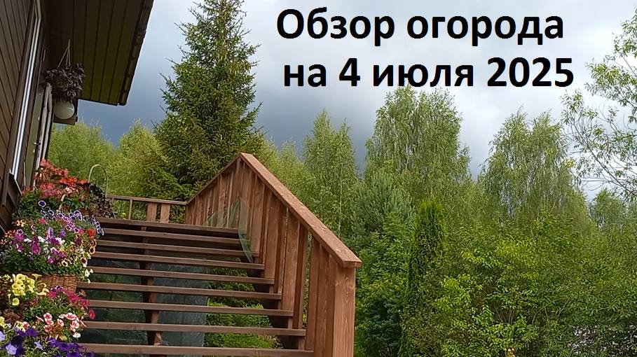Обзор сада-огорода июль 2025. смотреть онлайн