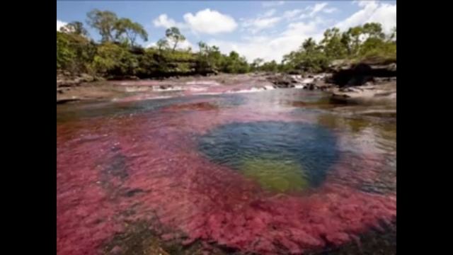 Кино перемен смотреть онлайн