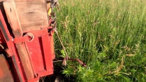 т 16 и т 28 косят.Сенокос открыт.докашиваю один