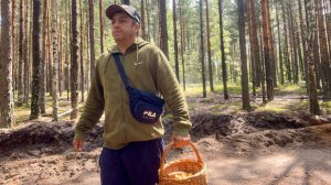 Грибы в начале июля 2025