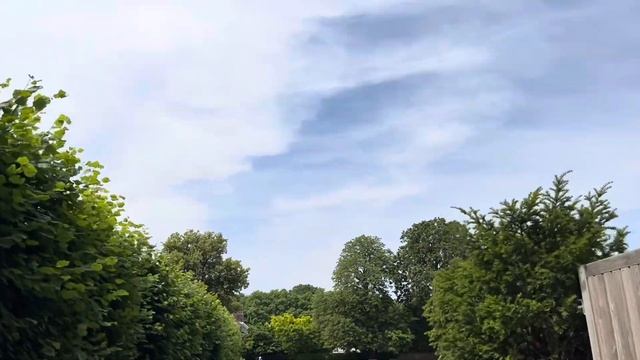 London | Kensington Palace | The Orangery Restaurant | смотреть онлайн