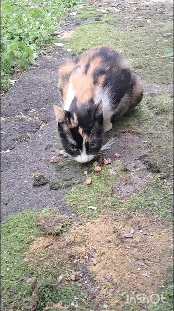 100003167 смотреть онлайн