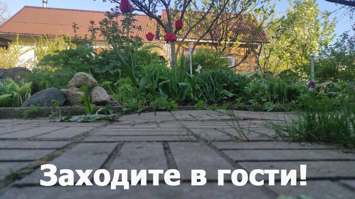 Мой любимый домик. (обещала - показываю)   #румтур #интерьер  #мойдом #roomtour