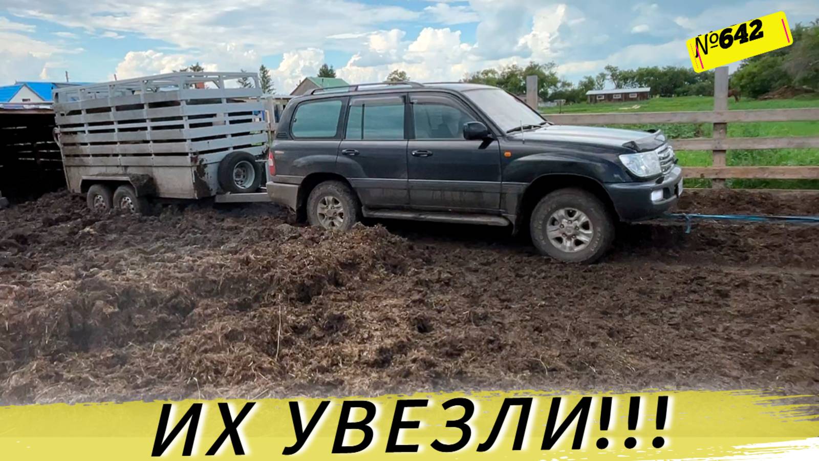 СДАЛИ 4 БЫКА. СКОЛЬКО ЗАРАБОТАЛИ ДЕНЕГ. Жизнь и будни Омской деревни. смотреть онлайн