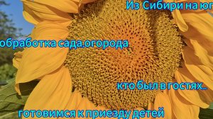 Переезд из Сибири на юг. Купили дом на юге. Наслаждаемся южной жизнью. 💖
