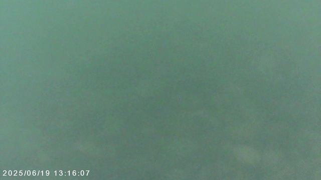 на море.avi смотреть онлайн