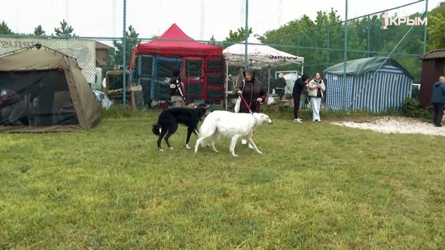 Клуб Шико. Выпуск от 05.07.25