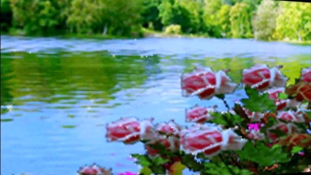 Время покажет... смотреть онлайн