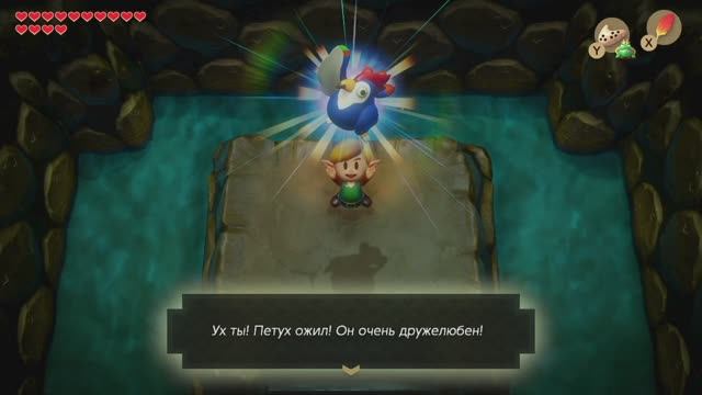 Петух ожил!