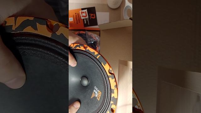 распаковка эстрадной акустики от dl audio gryphon 200 pro