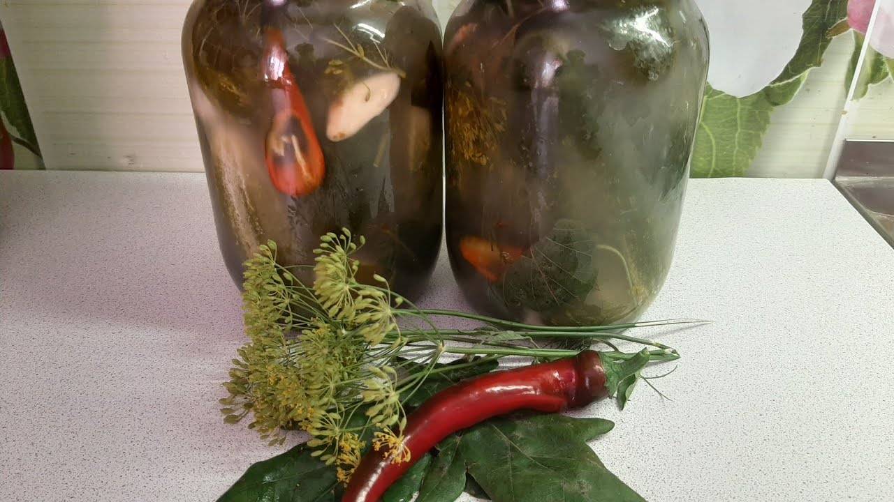 Хрустящие, квашеные огурцы на зиму