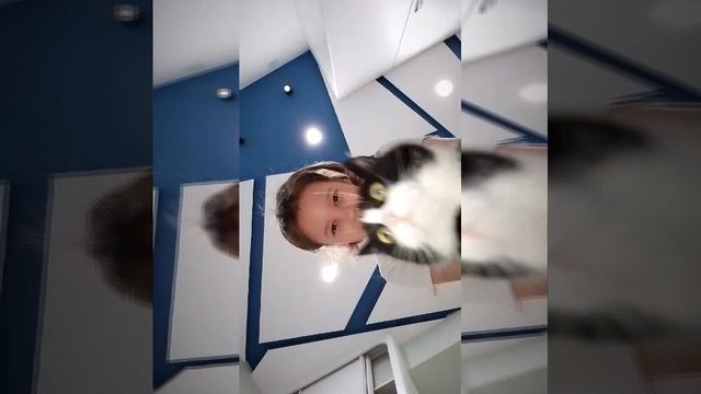кот Сенька Педро Педро педро смотреть онлайн