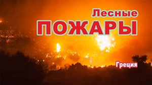 Лесные пожары в ряде регионов Греции.