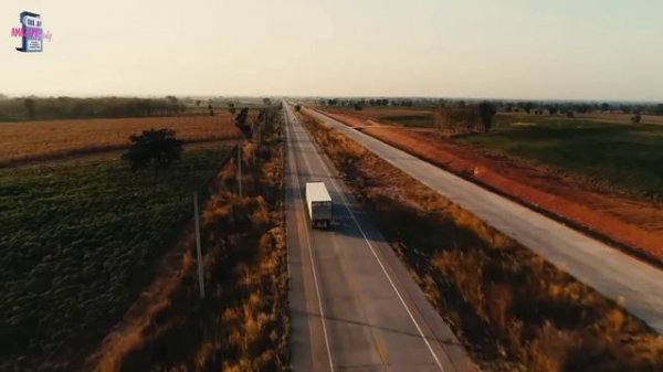 Rauw Alejandro & Pharrell Williams - Committed