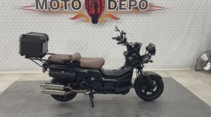 Honda PS250 Big Ruckus 048584