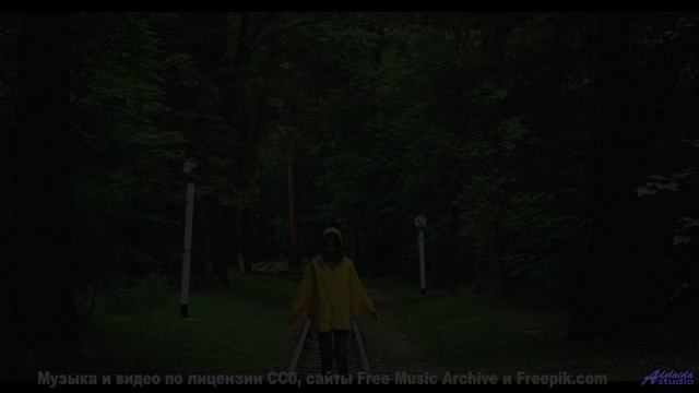 Вы не сможете усидеть дома после этого видео! - Playing-Catch -- Ketsa -- Bedding