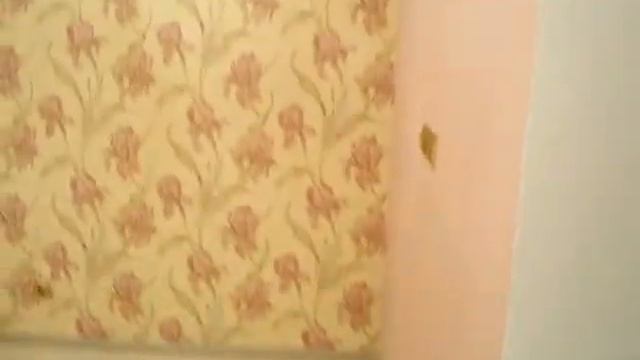 Ремонт квартир,офисов в Казани от hovela.ru смотреть онлайн