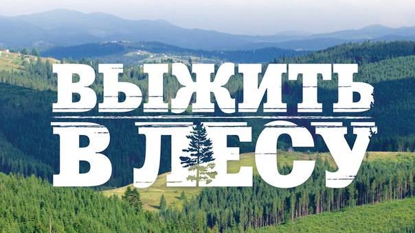 выжить в лесу