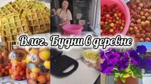 ЗАГОТОВКИ НА ЗИМУ🫙РЕЦЕПТ ИЗ КАБАЧКОВ🧇ОГОРОДНЫЕ ПРЕЛЕСТИ🌽