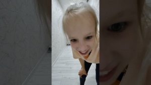 видео с котом