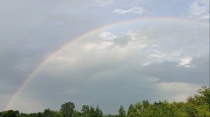 Глухарь - Алексей Петрухин